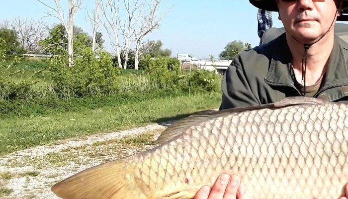 Battyan Carp Lake Katalogus - Szabadbattyán