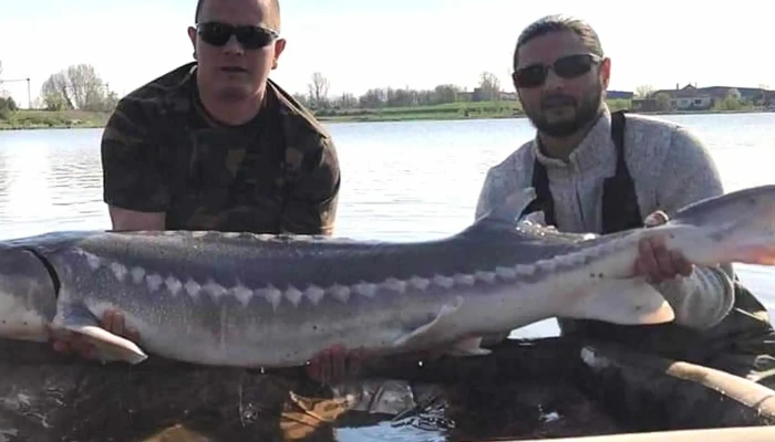 Battyan Carp Lake Kedvezmenyek - Szabadbattyán