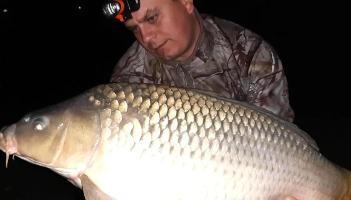 Battyan Carp Lake Kozel Hozzam - Szabadbattyán