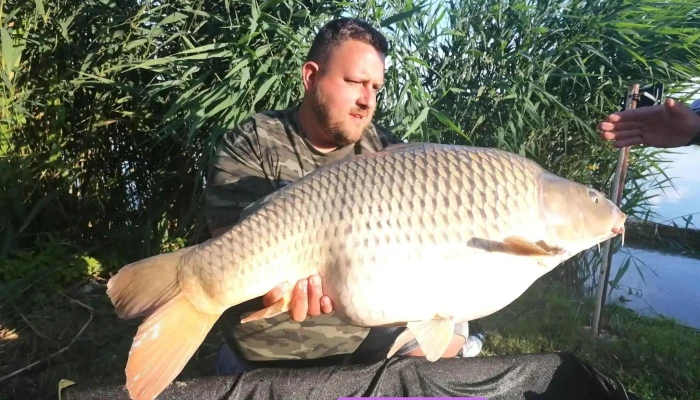 Battyan Carp Lake Osszes - Szabadbattyán