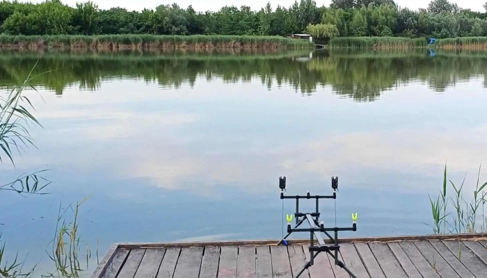 Battyan Carp Lake Telefon - Szabadbattyán