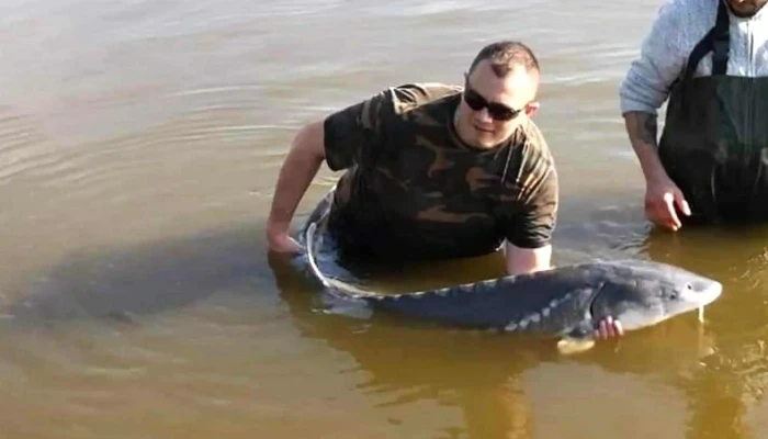 Battyan Carp Lake Videok - Szabadbattyán