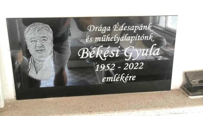 Bekesi Kofarago Muhely A Tulajdonostol - Kerecsend