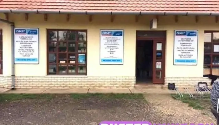 Beleon és Társa Kft. Skf Műszaki Szaküzlet - Kinizsi U. 20