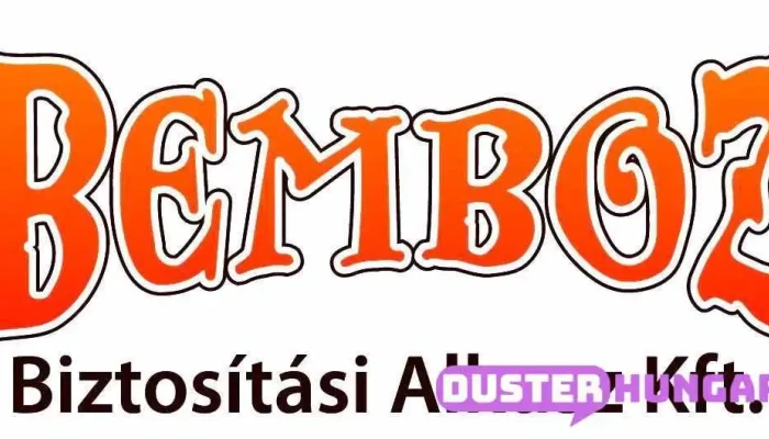 Bemboz Fuggetlen Biztositasi Alkusz Kft A Tulajdonostol - Bugyi