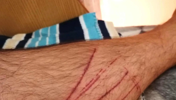 Berettyoujfalui Jarasi Hivatal Foglalkoztatasi Osztaly Allami Kormanyhivatal - Berettyóújfalu
