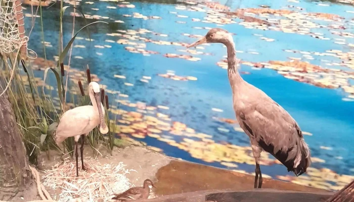 Bihari Muzeum Kozel Hozzam - Berettyóújfalu