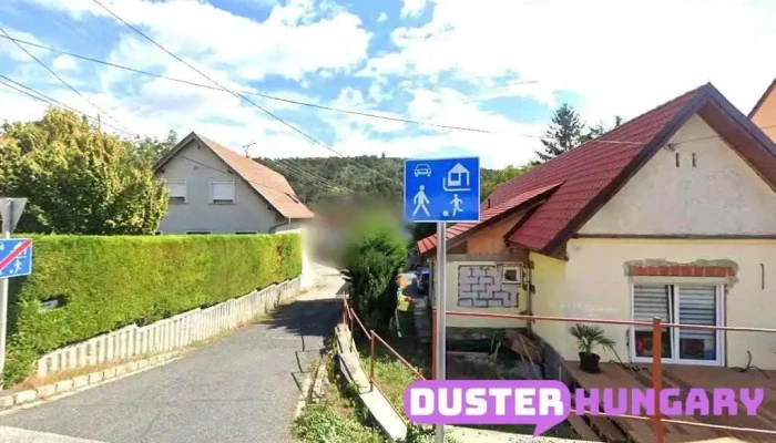 Bizzer László - Sopron