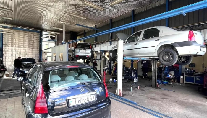 Bogarzoi Szervizmuhely Kft Autofelujito Szerviz - Orosháza