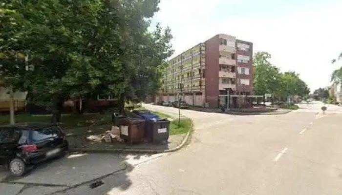 Bohus Es Tarsa Bt Osszes - Szentes