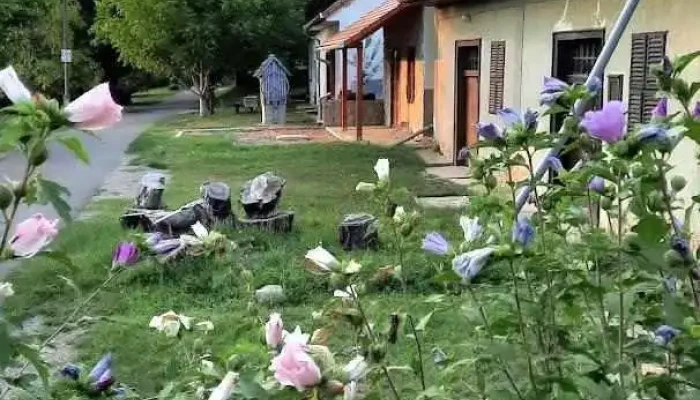 Bóly - Bóly