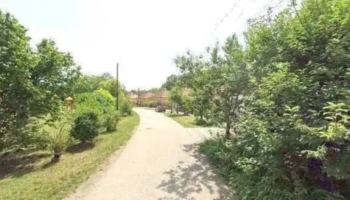 Borbas Jozsef Osszes - Szeged