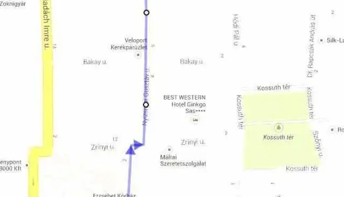 Borostyan Temetkezesi Szolgalat A Tulajdonostol - Hódmezővásárhely