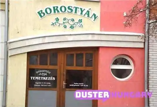 Borostyan Temetkezesi Szolgalat Kulso - Hódmezővásárhely