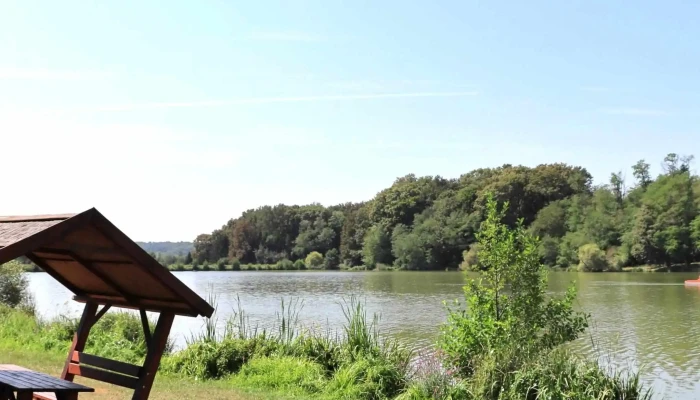 Borostyan To Ertekelesek - Zalalövő
