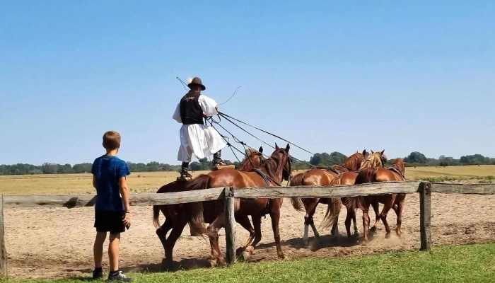 Bugacpuszta -  Megallo - Bugacpusztaháza