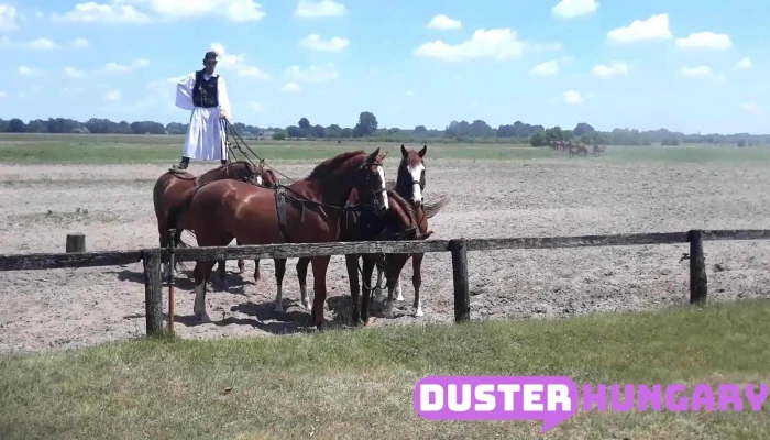 Bugacpuszta -  Videok - Bugacpusztaháza