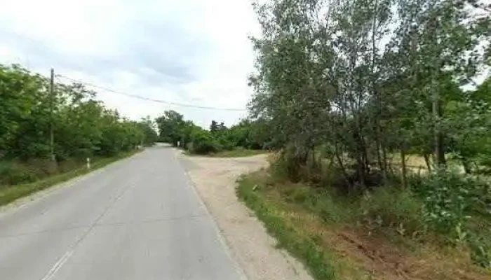 Bugyi Felsovany Allami Gazdasag Bejarati Ut Osszes - Bugyi