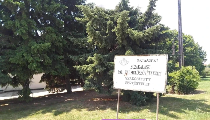 Búzakalász Mgtsz Sertéstelep - Magyarország
