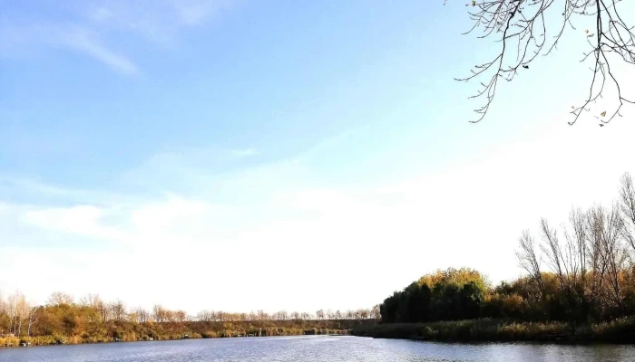 Cibakhazi Holt Tisza Arak - Hungary