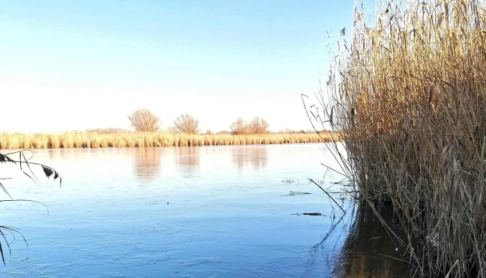 Cibakhazi Holt Tisza Ertekelesek - Hungary