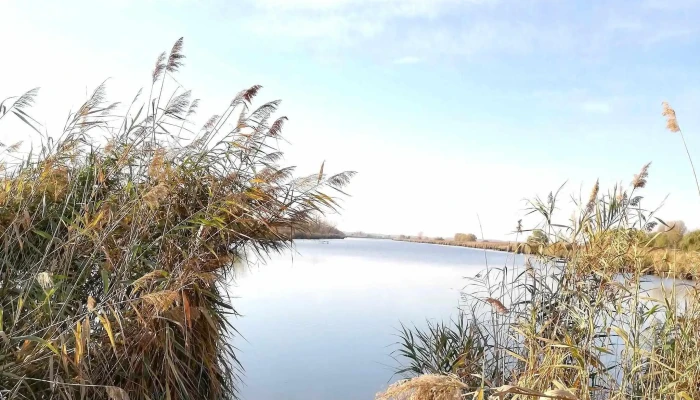 Cibakhazi Holt Tisza Hogyan Lehet Odajutni - Hungary