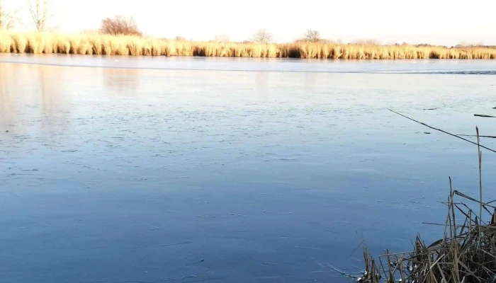 Cibakházi-Holt-Tisza - Hungary