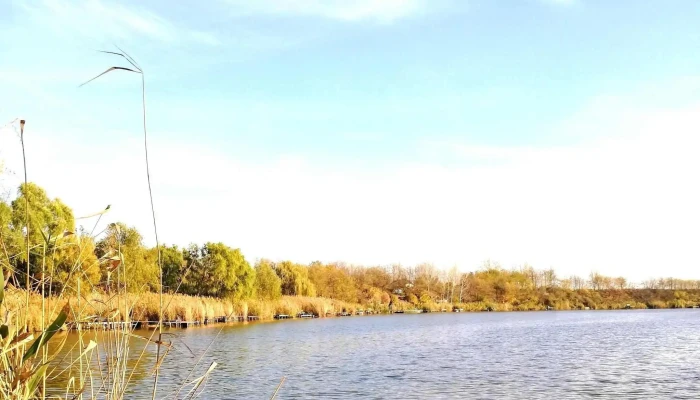 Cibakhazi Holt Tisza Weboldal - Hungary