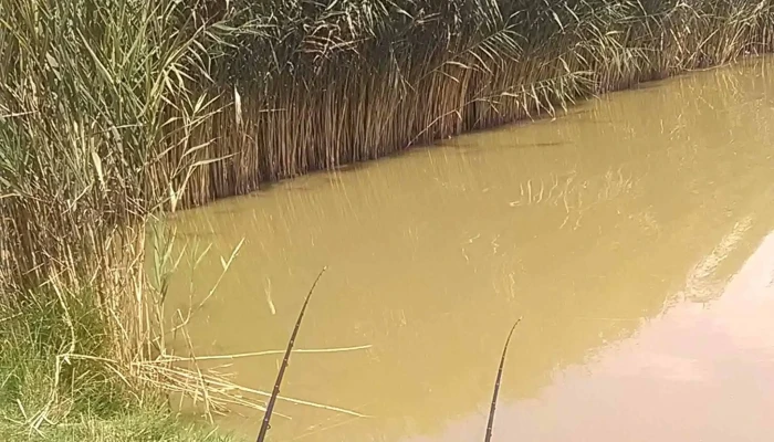 Csanadpalotai Zaporto Hol - Csanádpalota