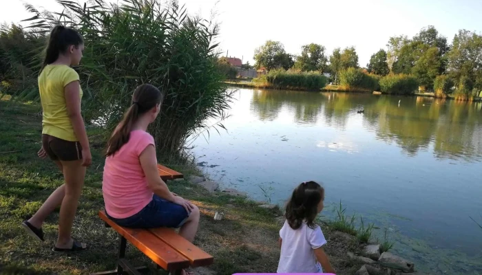 Csanadpalotai Zaporto Osszes - Csanádpalota