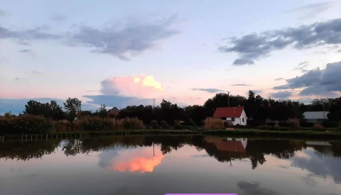 Csanadpalotai Zaporto Termeszet - Csanádpalota