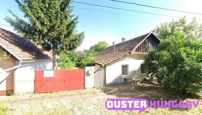 Csányi László - Gyulai U. 25
