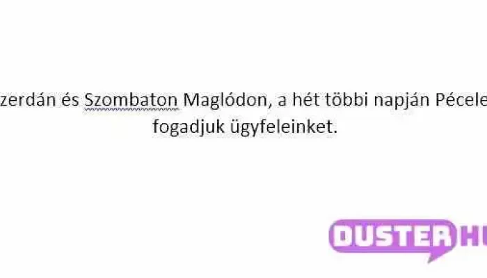 Csaszloc Bt A Tulajdonostol - Maglód