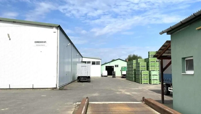 Csengerker Kft. - Tisza U. 53