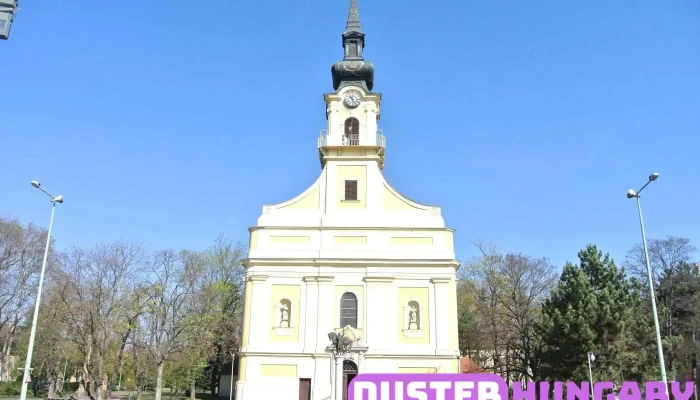 Csongrádi Nagyboldogasszony Plébánia - Kossuth Tér 4