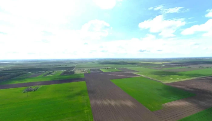 Csorvasi Forras To Utcakep Es 360deg - Csorvás
