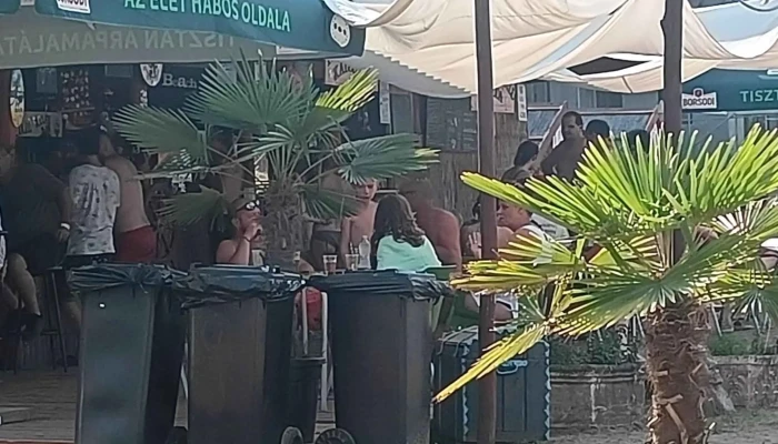 D -  Beach Hogyan Lehet Odajutni - Domony