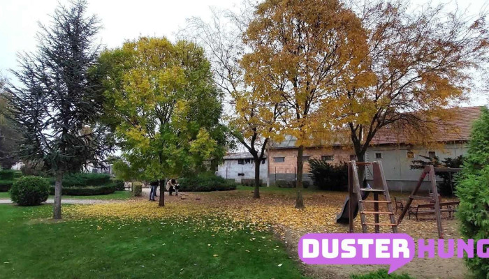 Dabasi - Hungary