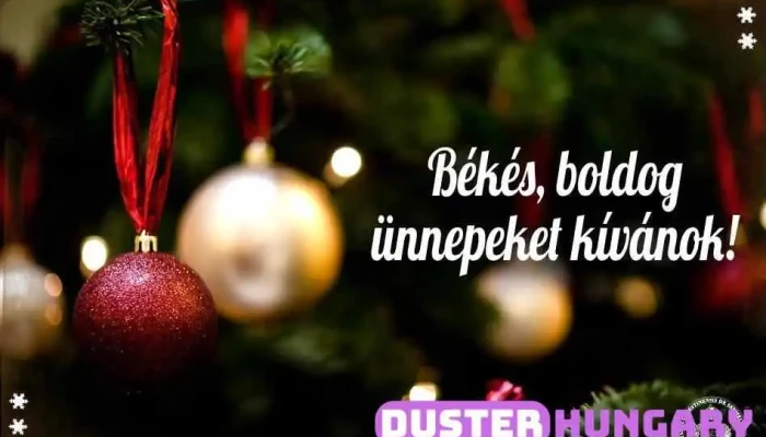 Deak Hímző és Zászlókészítő Műhely-Magura-Tech Kft - Mátyás Király Út 37