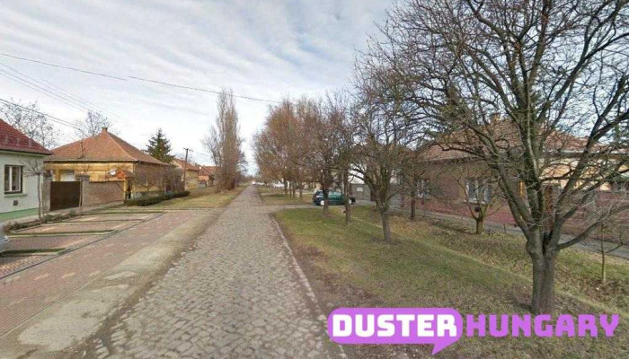Dél-Békés Megyei Vízgazdálkodási Társulat - Luther U. 29