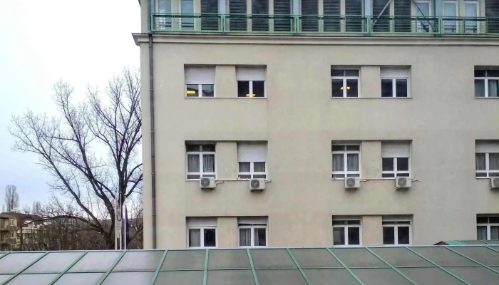 Del Budai Centrumkorhaz Szent Imre Egyetemi Oktatokorhaz Akcio - Budapest