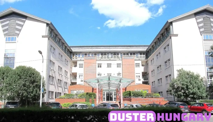 Del Budai Centrumkorhaz Szent Imre Egyetemi Oktatokorhaz Osszes - Budapest
