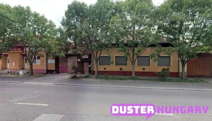 Dél-Pest Megyei Vízgazdálkodási Társulat - Pesti Út 29