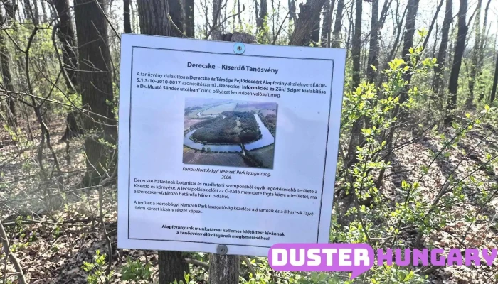Derecskei Horgaszto Termeszet - Derecske