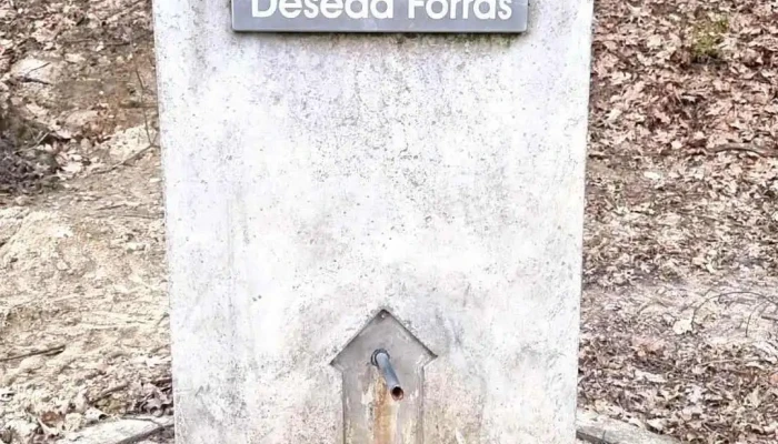 Deseda Forrás - Magyarország