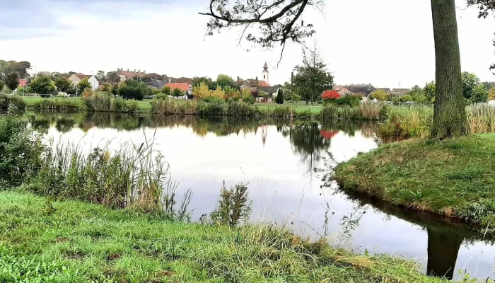 Devecseri Latvanytavak Turistalatvanyossag - Devecser