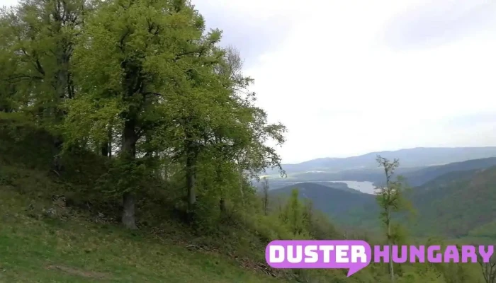 Dobogokoi Sipalya Videok - Pilisszentkereszt