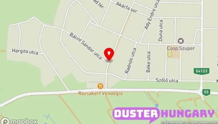 térkép Domaszék, Bálint Sándor utca Buszmegálló ban Domaszék