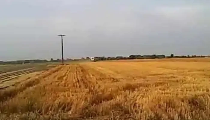 Domaszek Videok - Domaszék