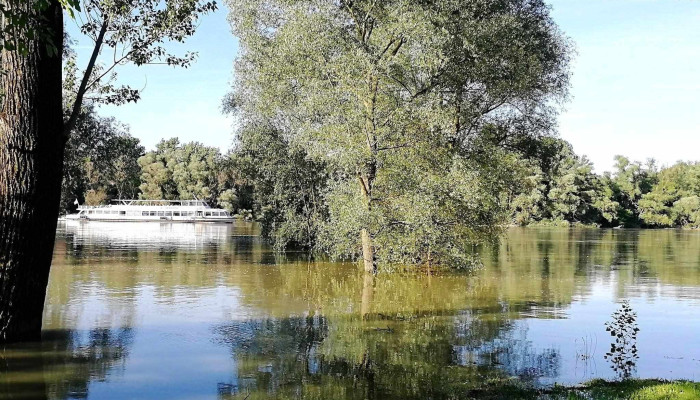 Dunabogdany Barkacsbolt - Dunabogdány